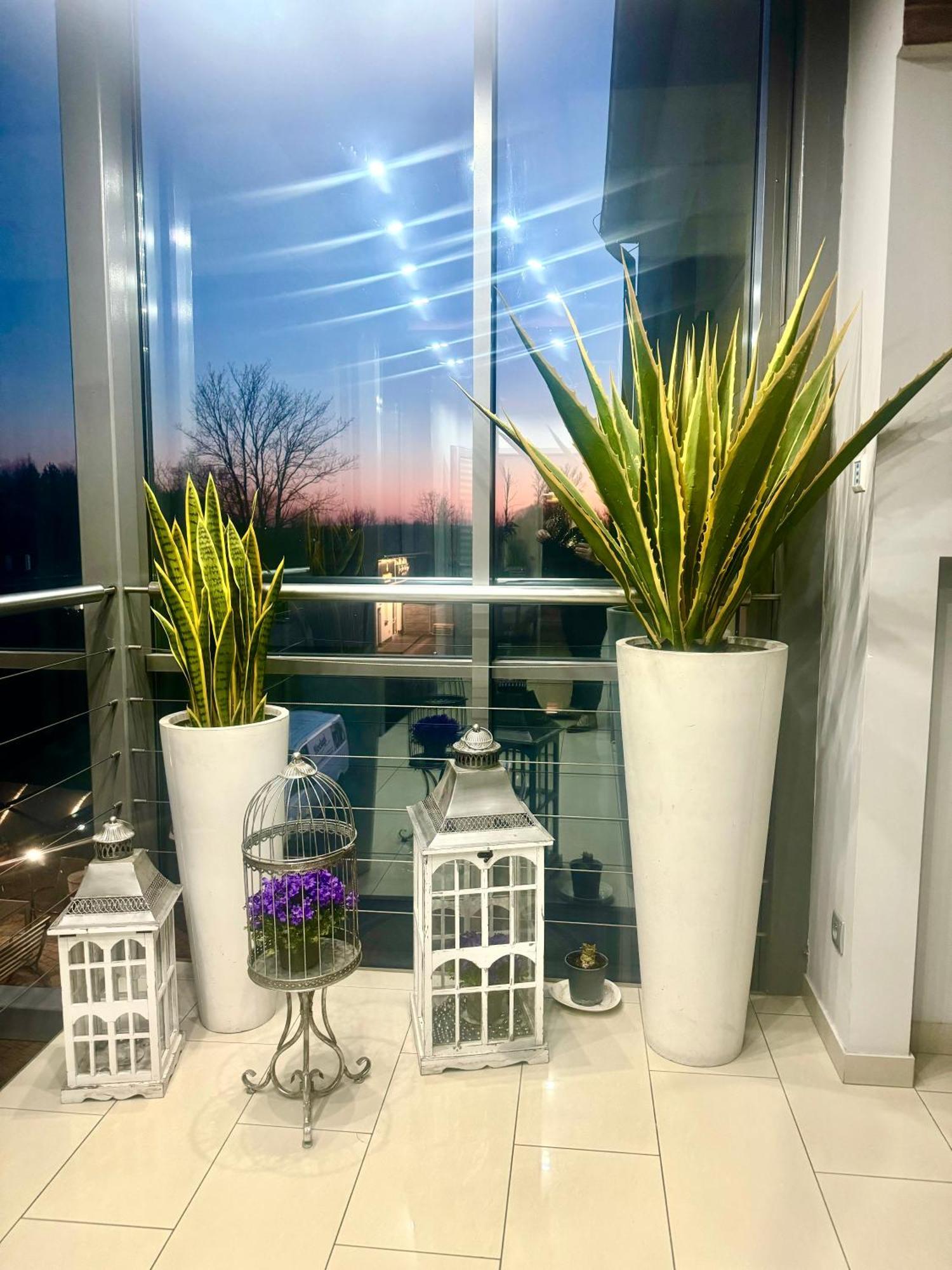 Apartamenty I Pokoje „Pod Jedynka” Konstantynów Łódzki 外观 照片
